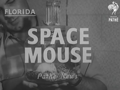 Space Mouse „Wickie“ (1958)